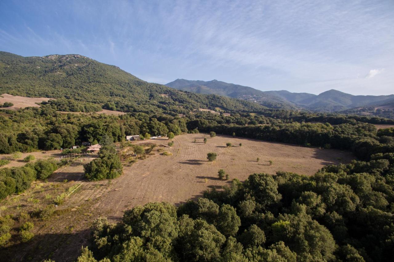 Domaine Finili Villa Cauro Bagian luar foto