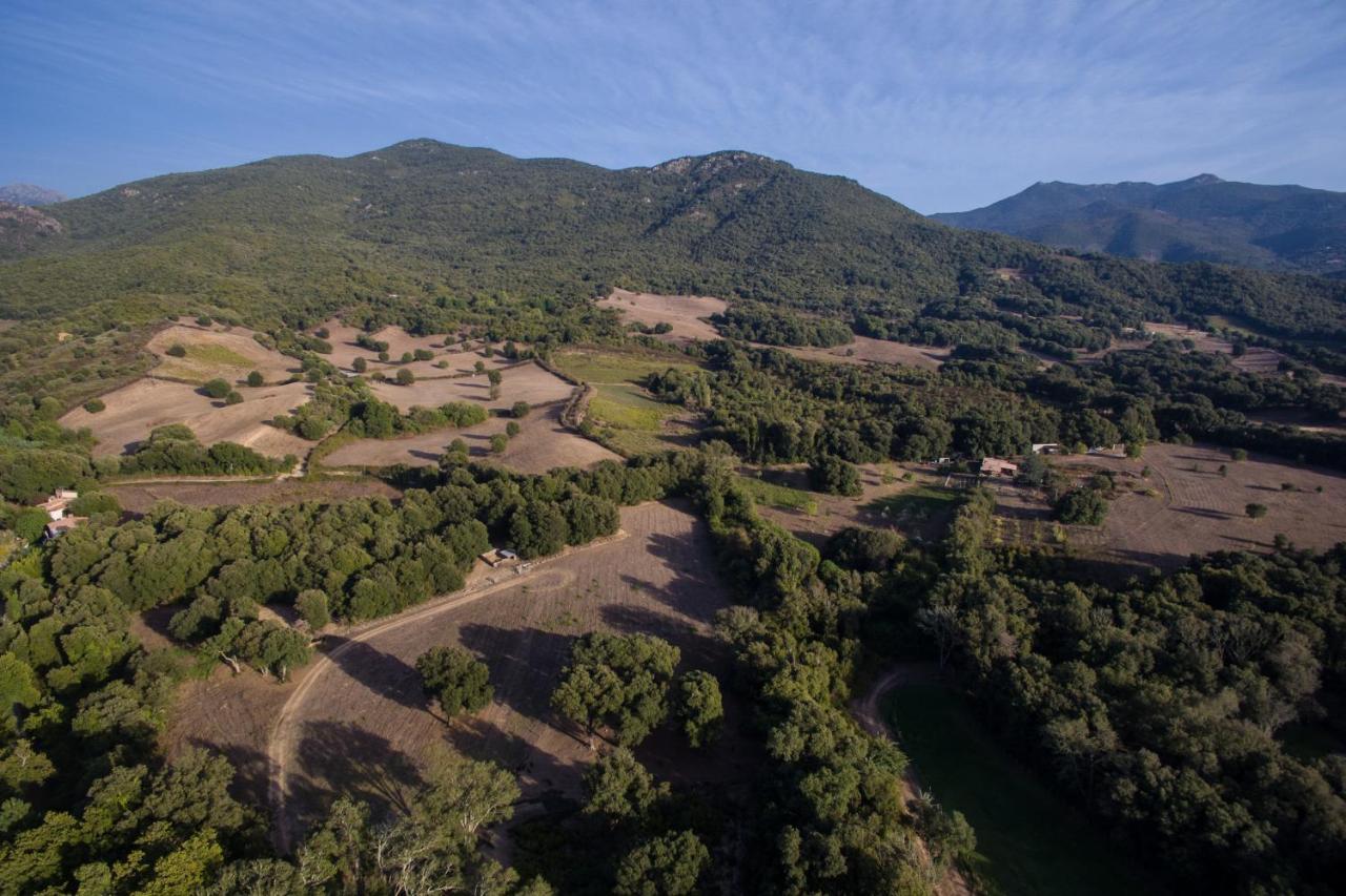 Domaine Finili Villa Cauro Bagian luar foto