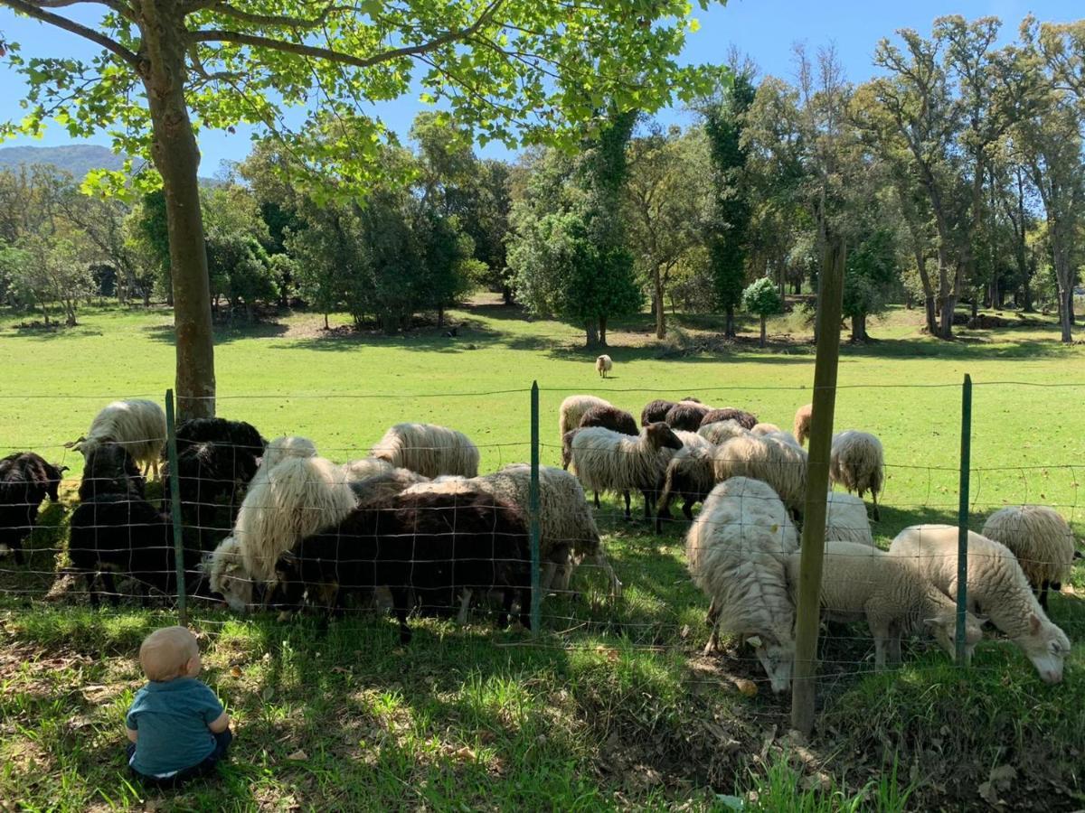 Domaine Finili Villa Cauro Bagian luar foto